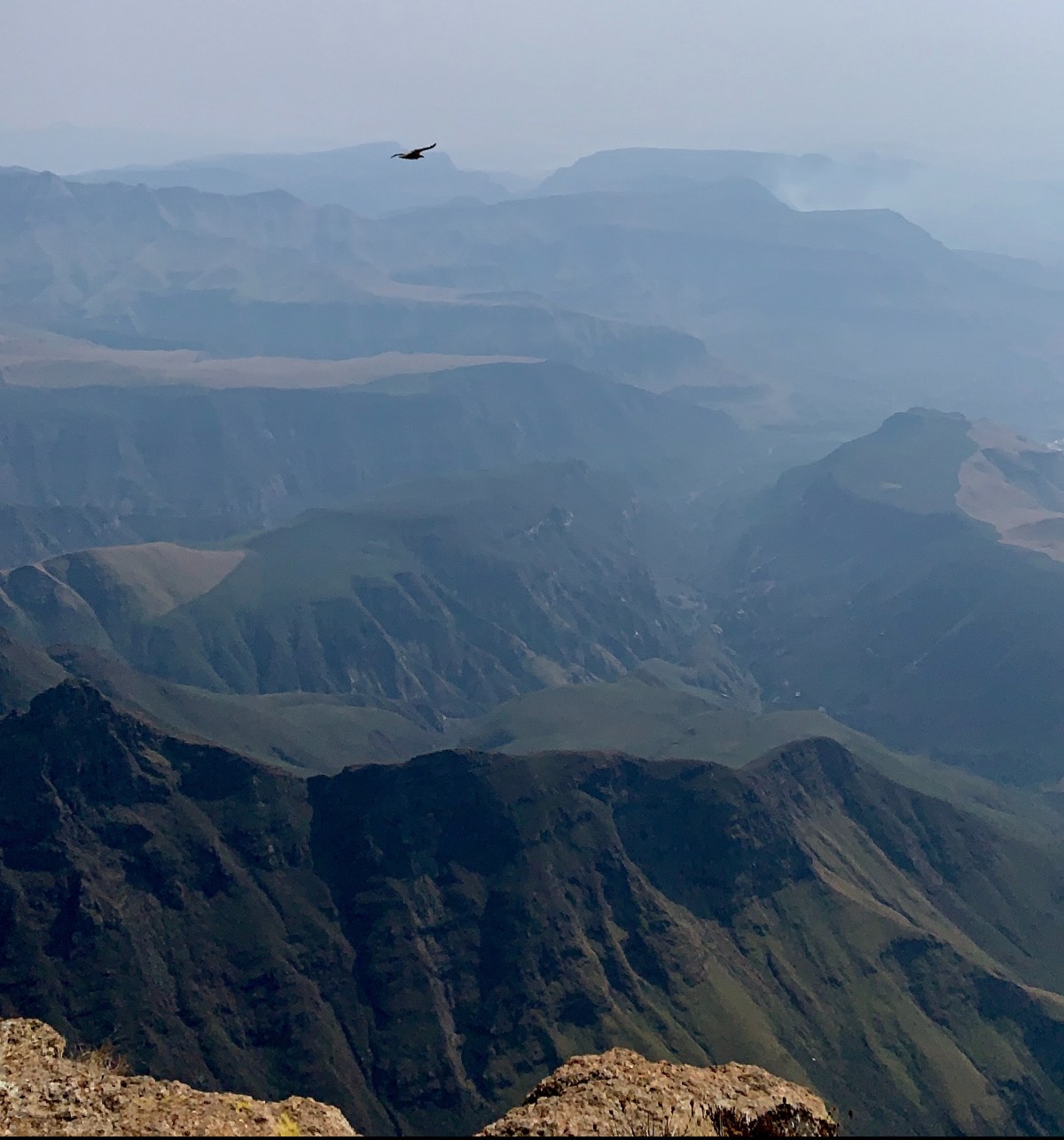 71c4af9f-63f6-471e-bc88-26bcede10ff2